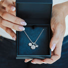 Blue box with pheonix, initial and birthstone pendants on a silver chain.